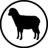 Icono-oveja-150x150